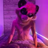 moremaitai from onlyfans